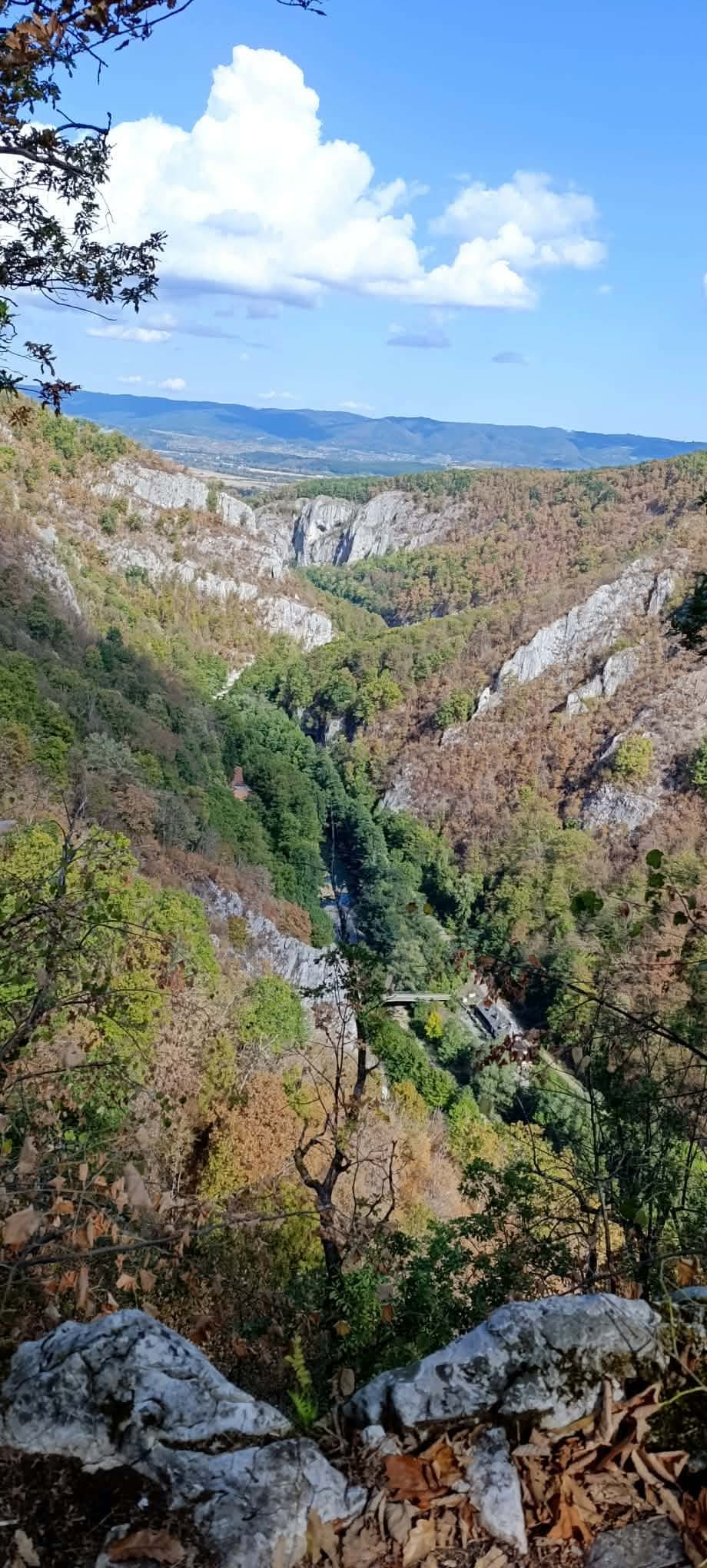 Výhľad do údolia Vadu Crișului