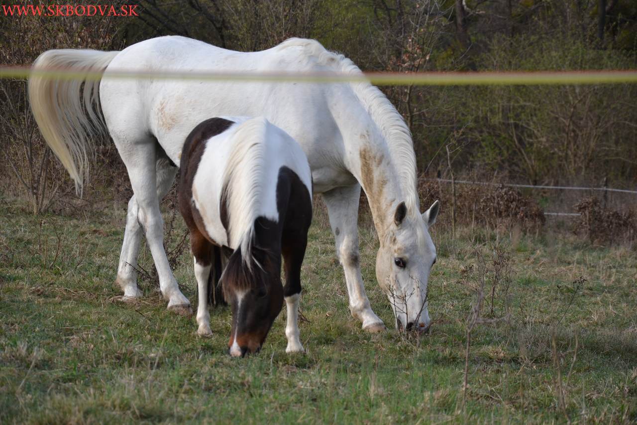 Fotogaléria túra na Veľký Milič - Izra