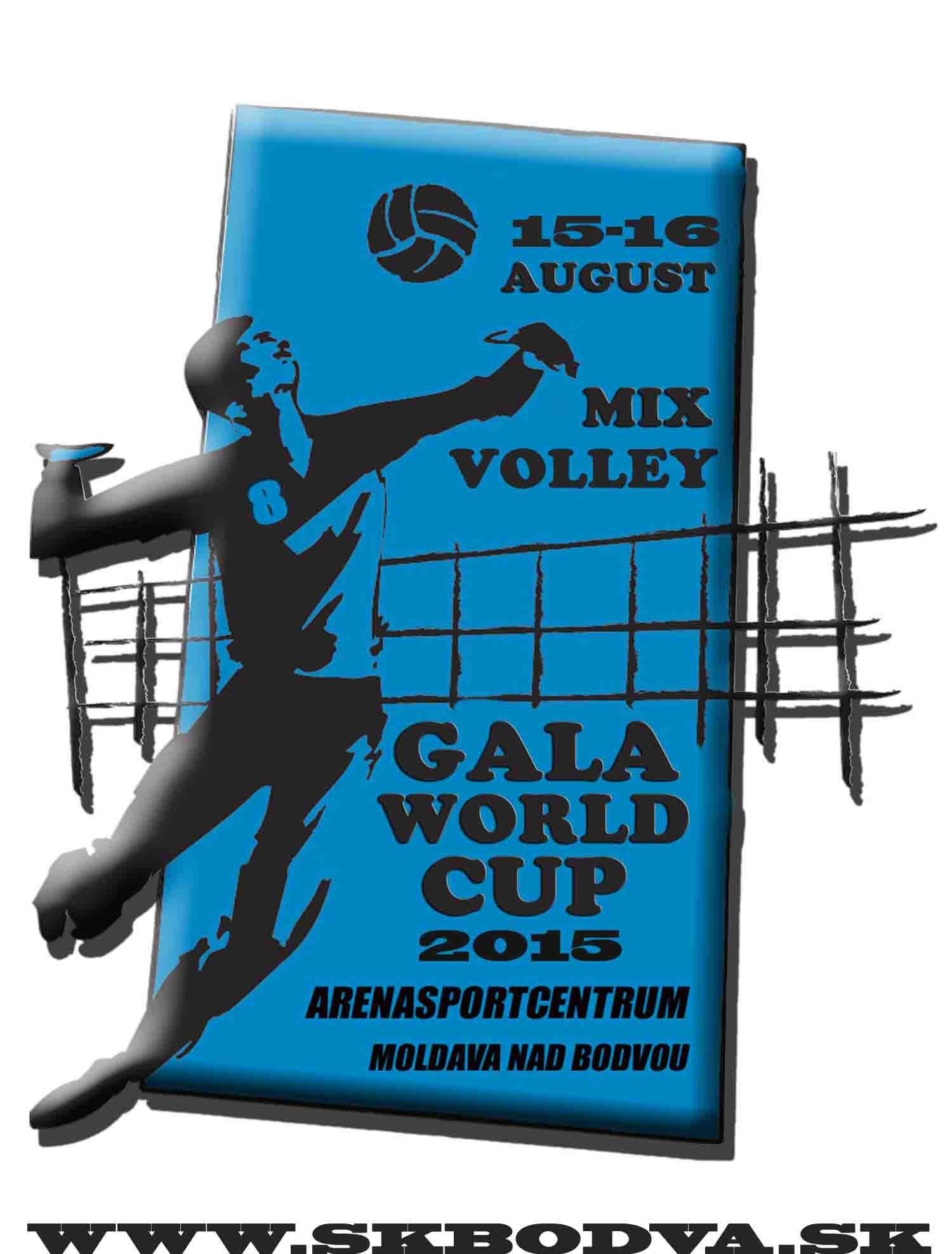 Gala world cup Moldava n/B 2015