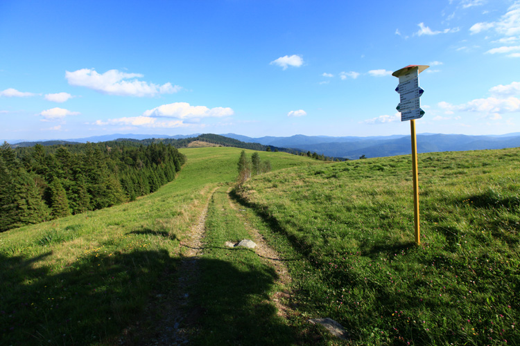Turistický výlet na vrch Bukovec