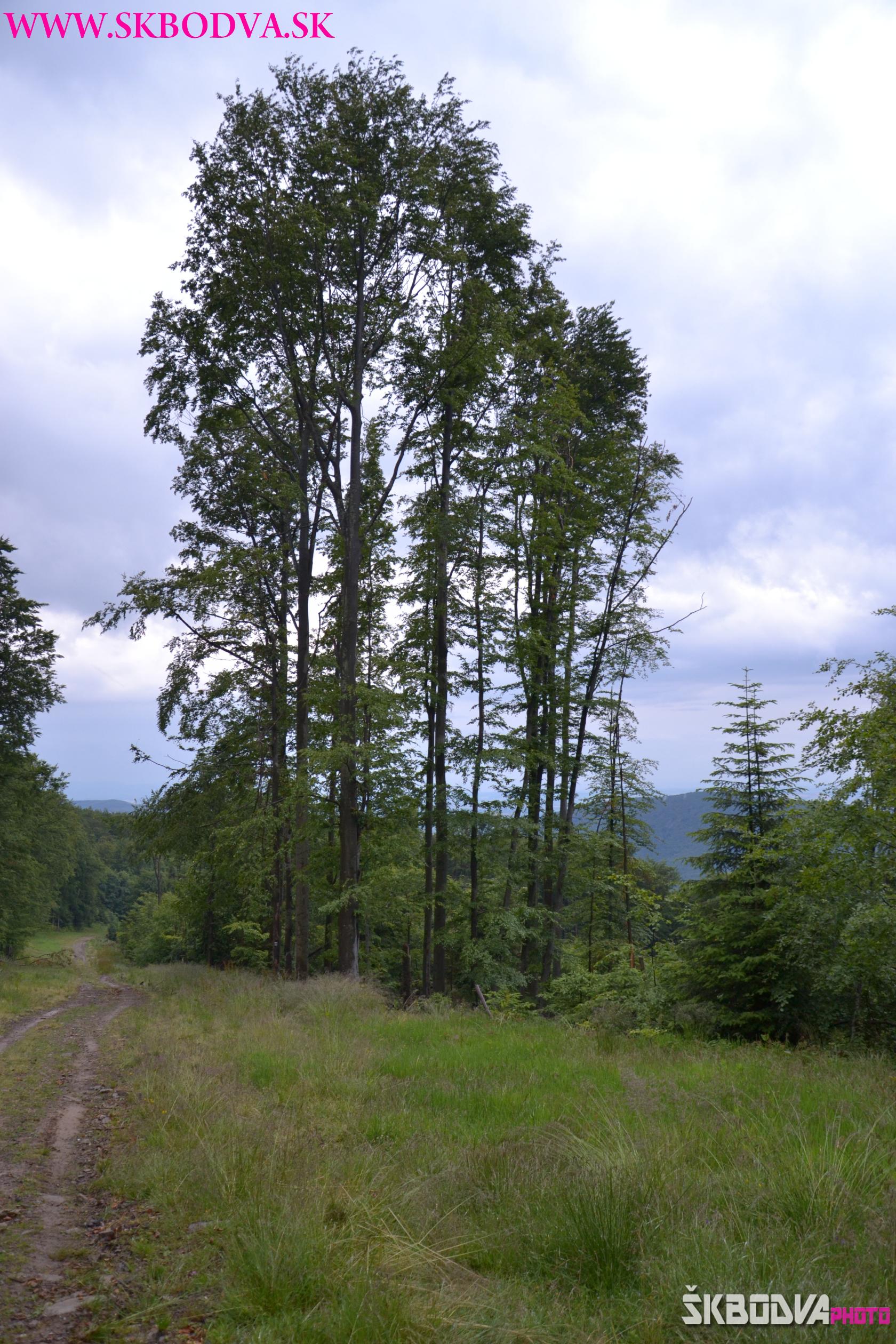 Fotogaléria Nočný výstup na Kojšovskú hoľu
