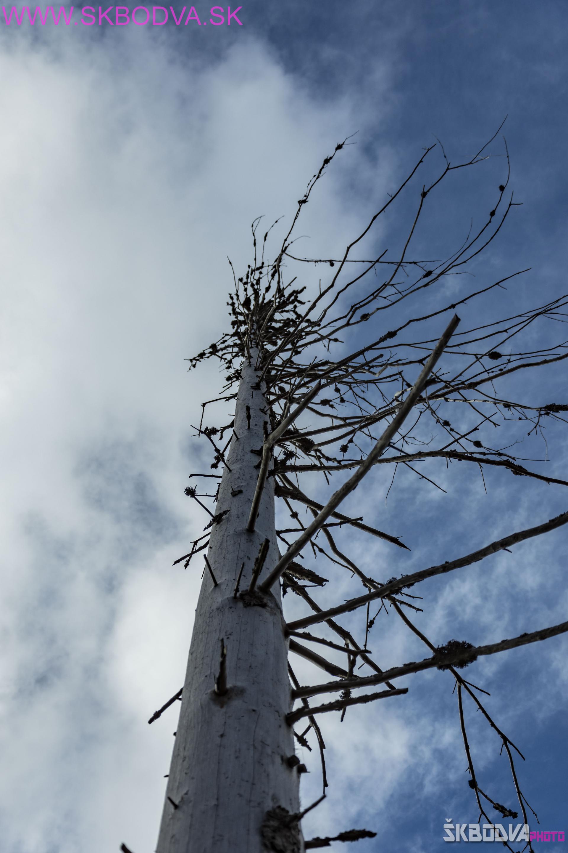 Fotogaléria Šk Bodva Kraková hoľa
