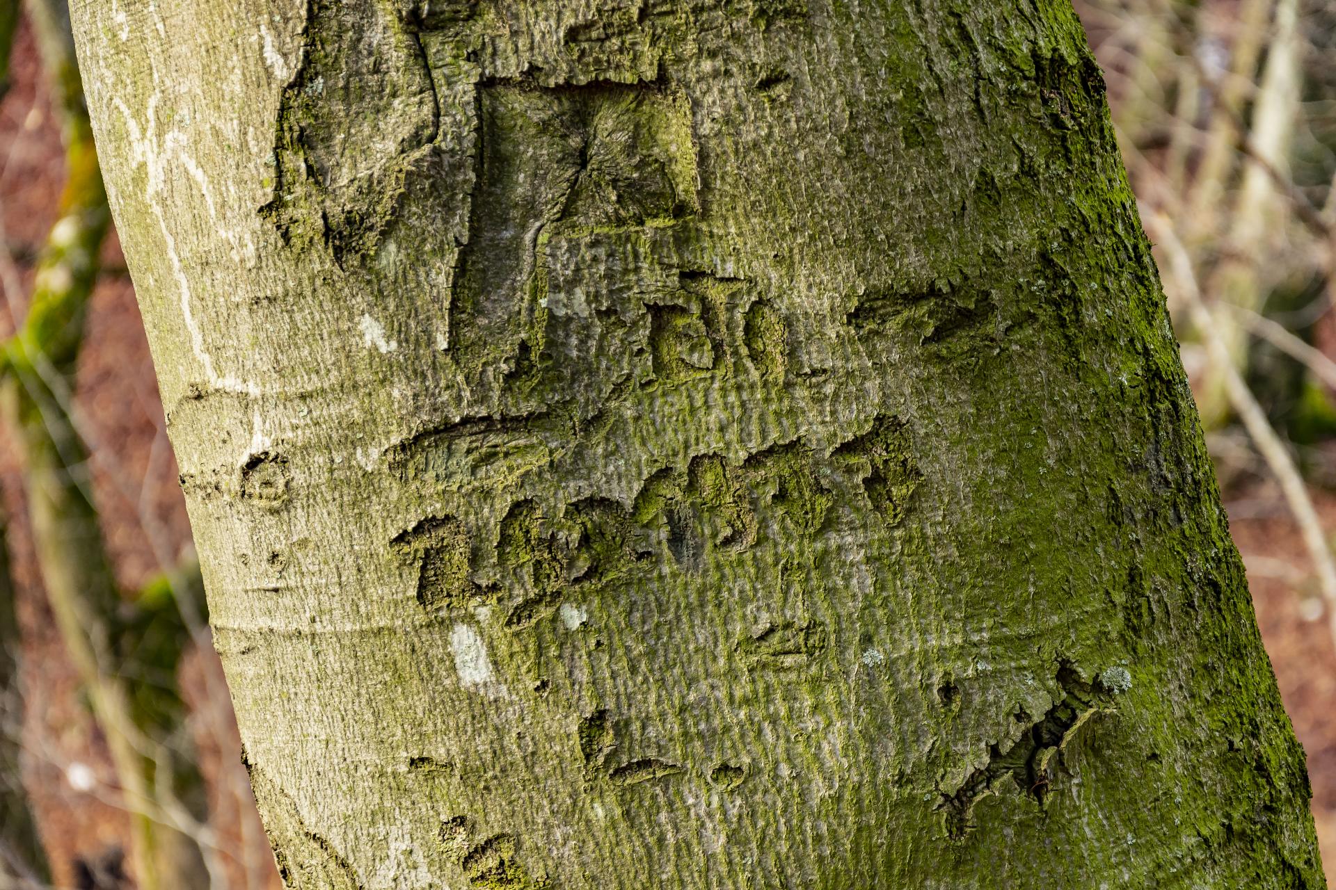 Fotogaléria Šk Bodva Kolova veža v Zádieli a Hájske skaly