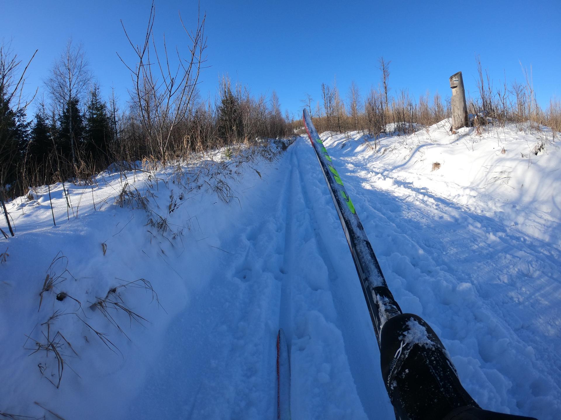 Fotogaléria Šk Bodva Bežecké lyžovanie na Grajnari